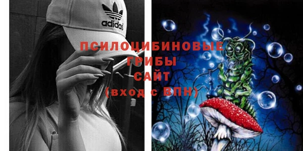первитин Армянск