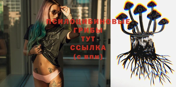 прущие грибы Аркадак