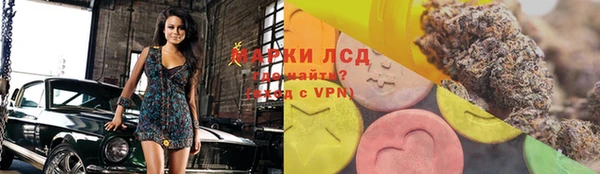 прущие грибы Аркадак