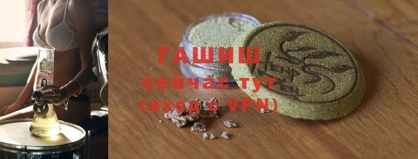 прущие грибы Аркадак
